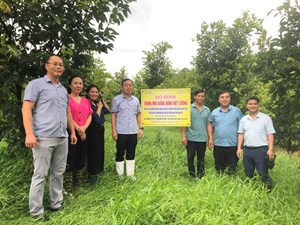Viện CNSH-CNTP: Từ bảo tồn nguồn gen đến phát triển vùng sản xuất Hồng Việt Cường 40 ha góp phần nâng tầm giá trị giống Hồng đặc sản Thái Nguyên