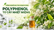 Đề tài của Sinh viên Viện CNSH – CNTP lọt vào vòng Bán kết Cuộc thi Công nghệ sau thu hoạch năm 2026